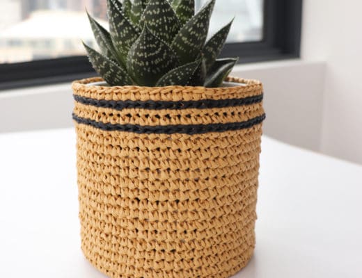The crochet raffia flower pot sleeve against a cityscape